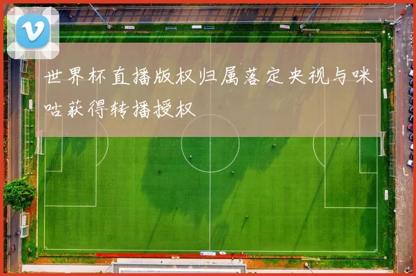 世界杯直播版权归属落定央视与咪咕获得转播授权