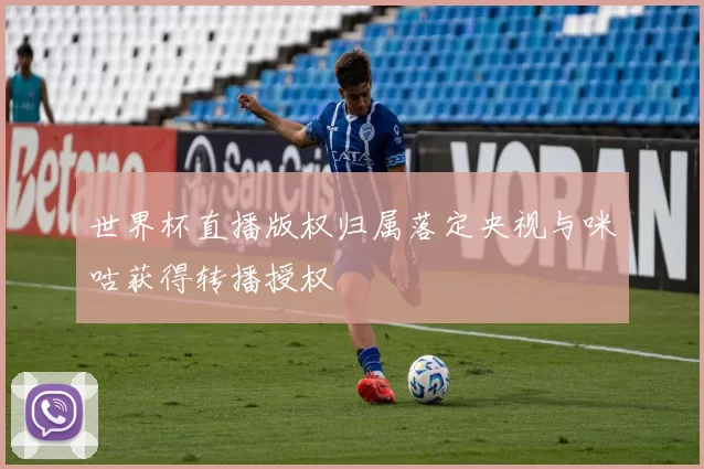世界杯直播版权归属落定央视与咪咕获得转播授权