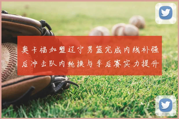 奥卡福加盟辽宁男篮完成内线补强后冲击队内轮换与季后赛实力提升